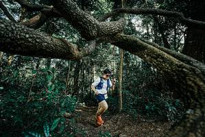 BIB: 
                            <button type="button" onclick="openModal(25706058)" class="btn btn-primary btn-sm float-right btn-popup" data-toggle="modal" data-target=".modal-high-quality">
                        <i class="fas fa-shopping-cart"></i> Add to Cart
                    </button>
                                            <button type="button" onclick="isThisMe(25706058, true)" class="btn btn-success btn-sm float-right btn-popup btn-isme hidden" data-toggle="tooltip" data-placement="bottom" title="นี่คือรูปของคุณใช่ไหม คลิกที่นี่เพื่อเอาเข้าอัลบั้ม">
                        <i class="fas fa-plus"></i> Add to album
                    </button>
                    <button type="button" onclick="isThisMe(25706058, false)" class="btn btn-warning btn-sm float-right btn-popup btn-isnotme hidden">
                        <i class="fas fa-ban"></i> Remove from album
                    </button>